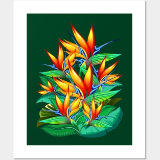 Bird of Paradise Flower Exotic Nature Posters and Art